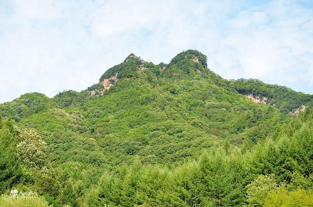 陇上仙境何处寻？秦州李子园——云海、森林与千年乡愁的清凉秘境