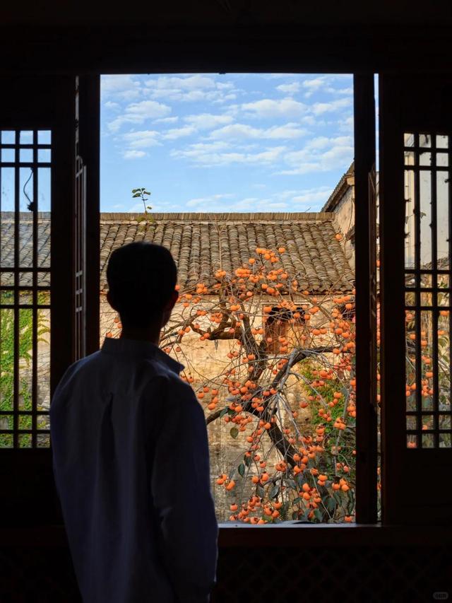 安徽一男子，因“老屋的一棵柿子树”走红，美成一幅画，好治愈吖