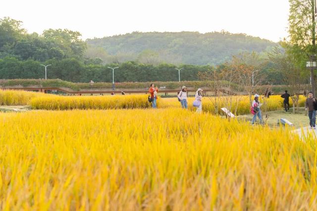 就现在，一起去南山公园遛弯~