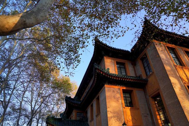 石象路银杏黄了！秋日南京必走的几条经典路线