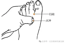 康玉春：常按4个“疏肝穴”，去肝火、理肝气，缓解抑郁焦虑图片