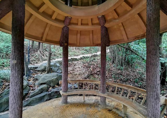 寻亭记：南方风雨亭的“八卦”往事与逆袭今生