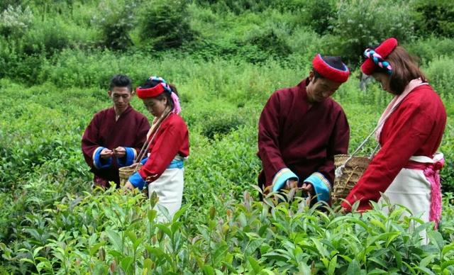 2026，藏源山南等你来探访！