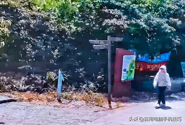 蔡磊遗骸已找到！在未开发区域，挂在半山腰上，手机丢失成疑点