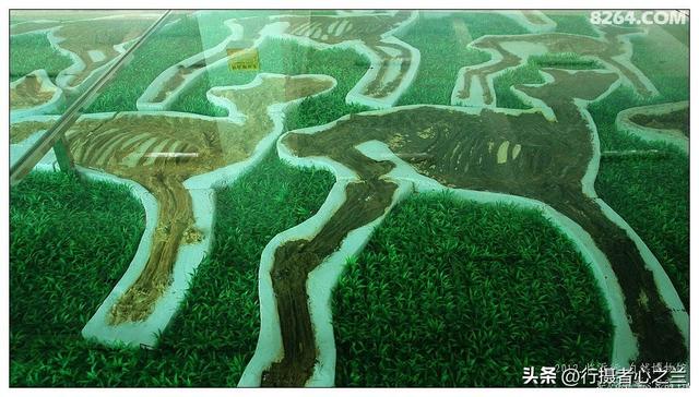 山东行游影记（28）—平邑天宇自然博物馆（三）