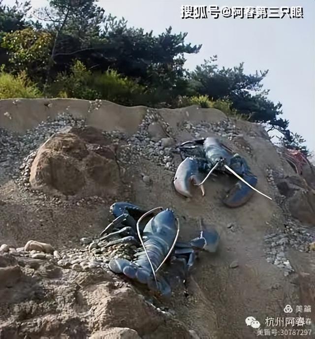 大连海之韵山体壁雕