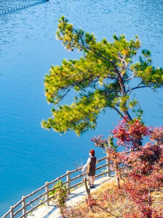 秋游黄陂 | 解锁清凉寨的N种玩法！