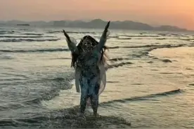 “果然老公的摄影天赋惊艳全网！这些照片美得让人窒息！”图片