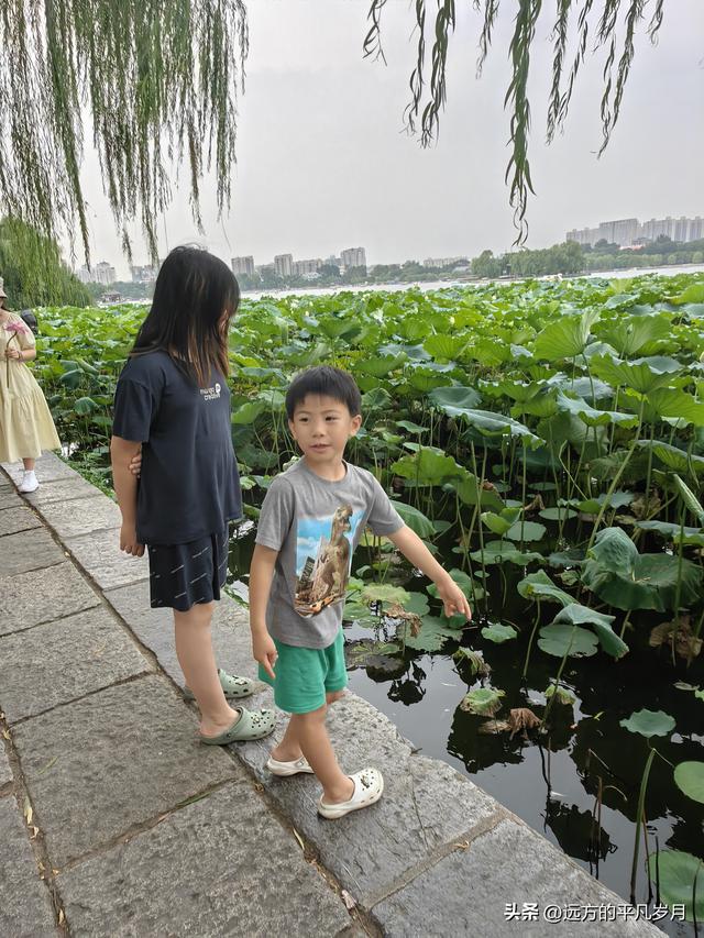我的八月