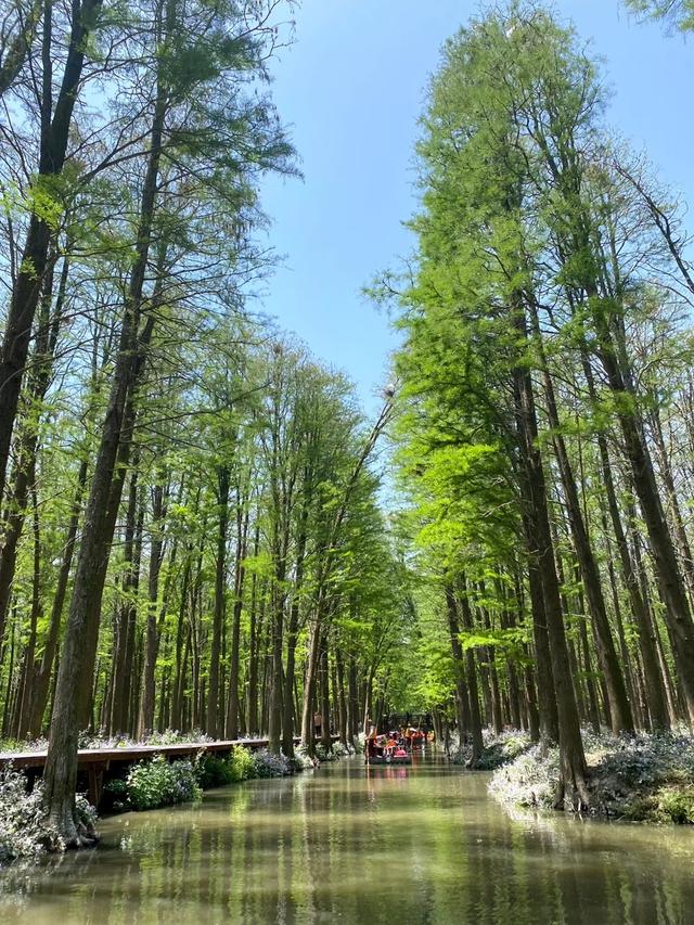 江苏大变局！兴化突然爆红，江苏中部市县集体看懵～