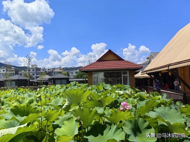 光禄镇姚安路军民总管府游记：小镇藏着大历史
