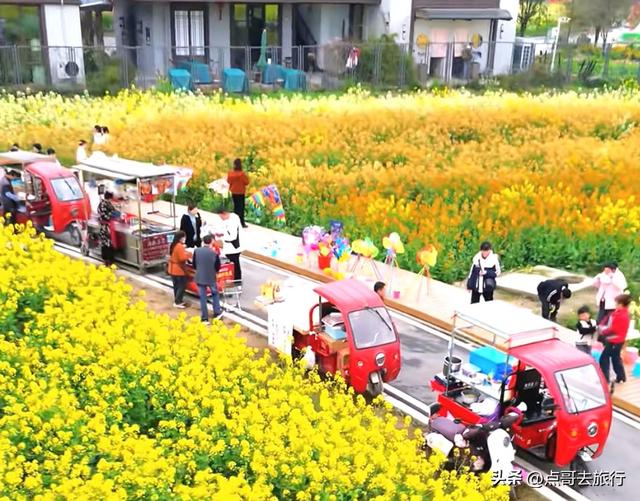 今天朋友圈的C位，成都限定的浪漫和震撼，错过了真的要等一年！