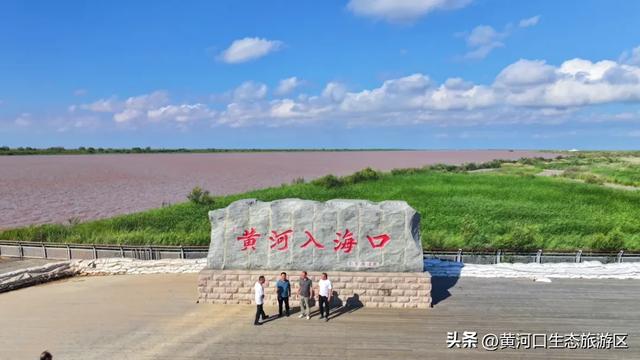 黄河口七夕漫游指南：与你赴一场湿地飞鸟与落日的浪漫之约