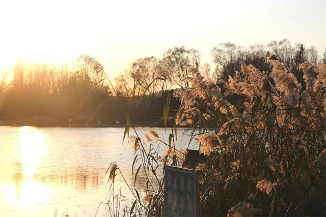 用电影的方式“打开”初冬！每一帧，都浪漫