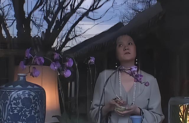 陈凯歌前妻洪晃晒京郊院子，空地上百平，爱马仕被她拍出廉价感