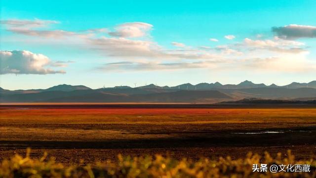 疯狂心动！哲古草原秋日限定景观，藏着西藏最野的浪漫！