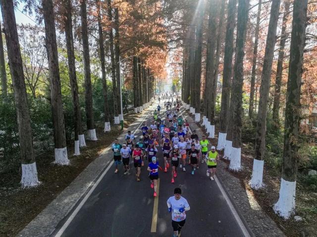 此心安处是黄山｜一位跑者的35场马拉松后，在徽州找到精神归乡 | 皖美冬日 | 第十五届安徽国际文化旅游节