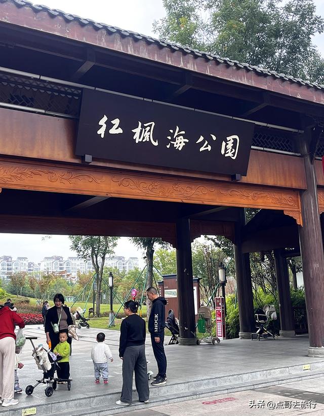 成都双流被低估景区，枫叶惊艳恍若到了川西，不要门票，公交直达