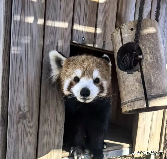速来！半价特惠！