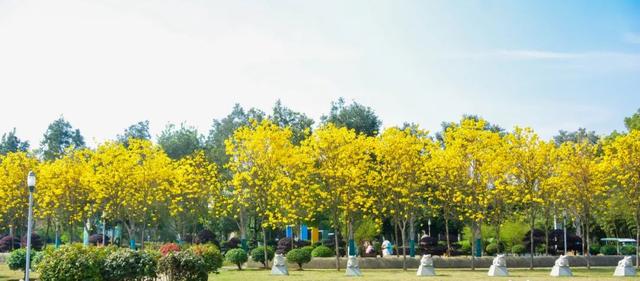 柳东奇遇记② | 探寻绿野仙踪，打卡宝藏生态画卷