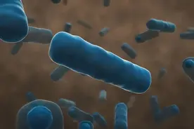 益生菌能长期吃吗？用来减肥靠谱吗？提醒：服用益生菌也要注意图片