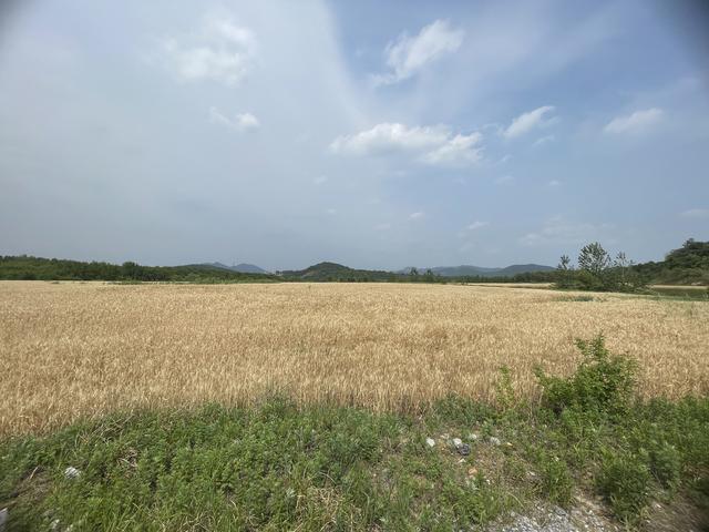 骑游宝华山南部东部水库山林越野