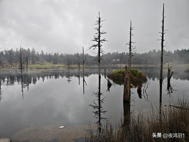 徒步瓦屋山,太艰难了,坚持下来不容易