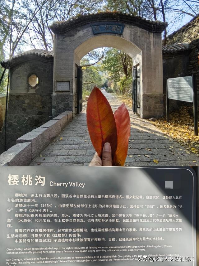 北京：焦糖色的秋日正当时，还有美味素食+直达专列，走啦！