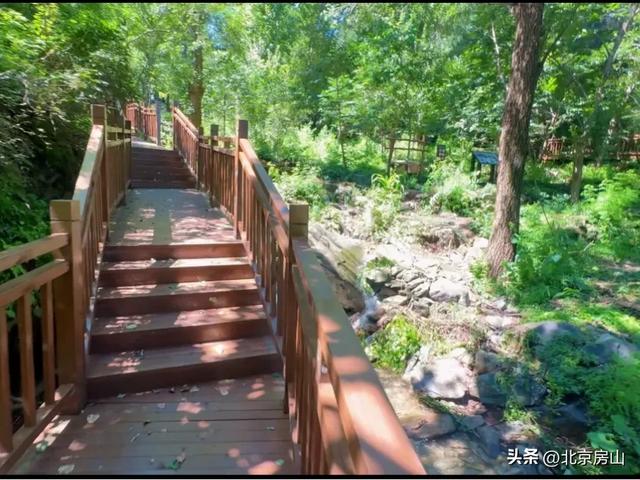 诚邀您共赴一场焕活身心的“森”呼吸之旅！