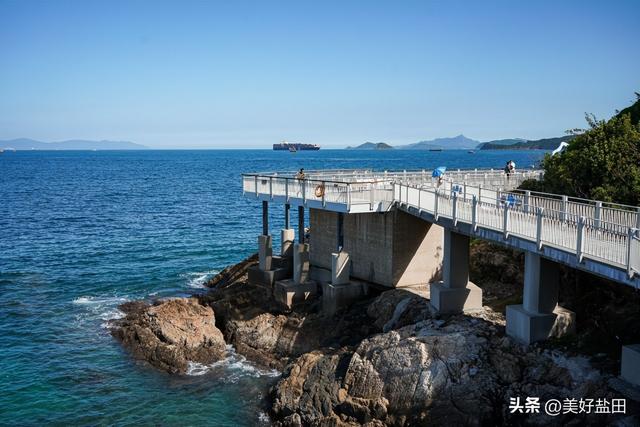 别抢迪士尼了！盐田“海洋非遗”研学开闸，名额秒没，手慢无！