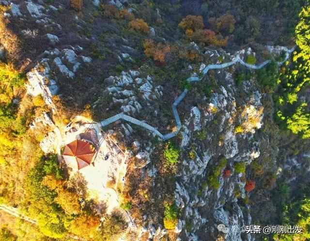 大连城山，挑战台阶之最，金龙寺森林公园风景太美了
