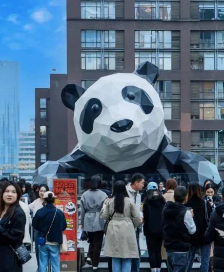 这“夏”等你了！都安排好了🤗🤗🤗