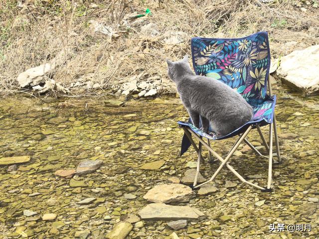 龙洞胜境尤奇崛