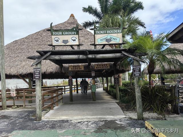 大沼泽地美国国家公园（迈阿密游记三）