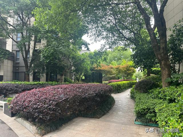 余杭记行9，何母桥