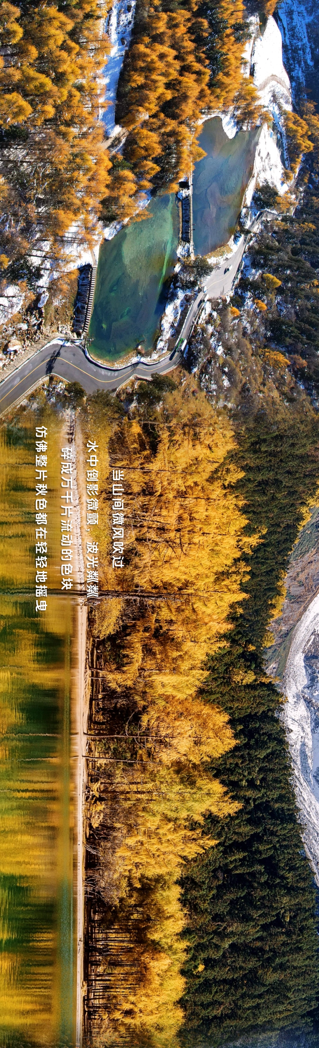 拍了拍毕棚沟的秋天：你的色彩已存档！