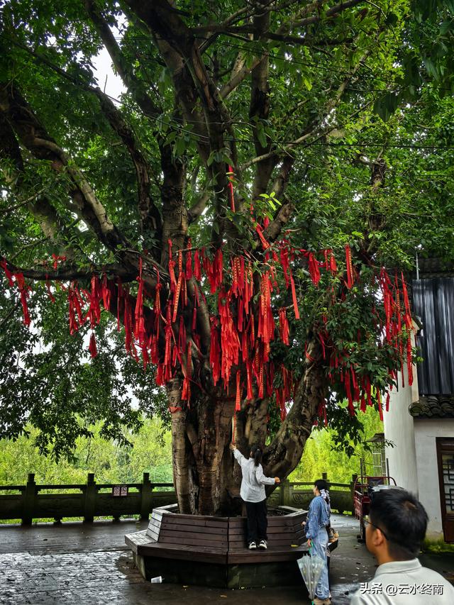 说这里是“川中第一镇”有些夸张，但是美食还是挺多，闲转还可以