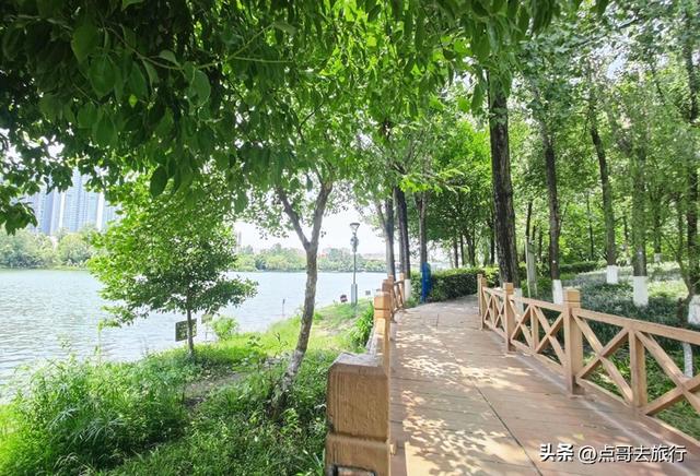 成都市内乘凉公园，风景秀美、清凉，不要门票，地铁公交可达！