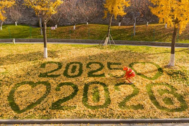 叶落成“景”,明城墙神武路太浪漫了!