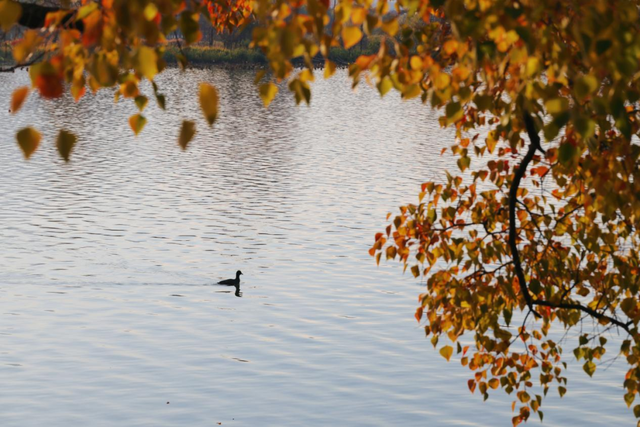 红了！越来越红了！
