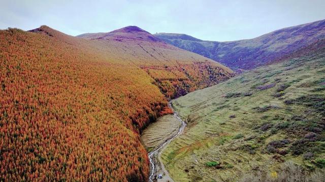【文明旅游】山西：五台山的秋天，太治愈了！