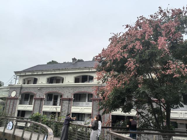 浙江湖州市德清县莫干山国家风景名胜区游记（下）