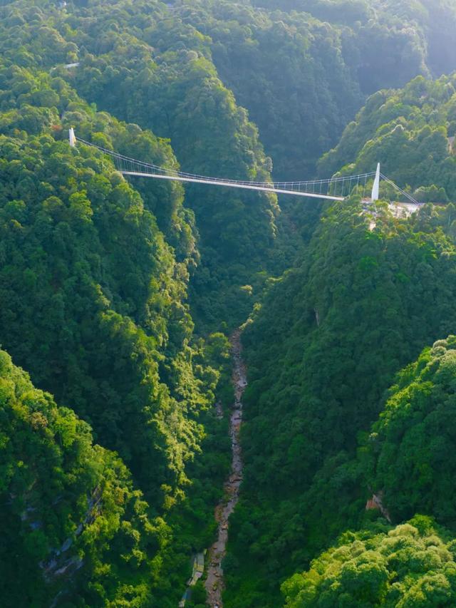 逃离高温！成都2H躲进峡谷避暑地，徒步森林瀑布、探秘野生动物！超萌奖牌周末就冲！