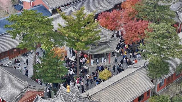 【文明旅游】山西：五台山的秋天，太治愈了！