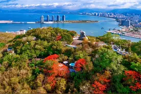 海南16万商家承诺旅游消费投诉先行赔付图片
