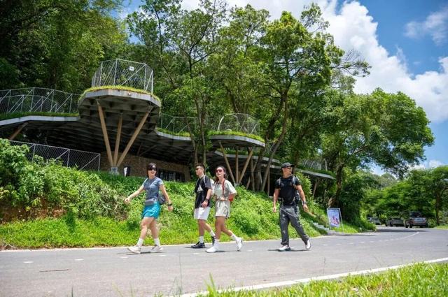 “冬养罗浮”康养品牌发布！在引领区过冬是怎样一种体验？