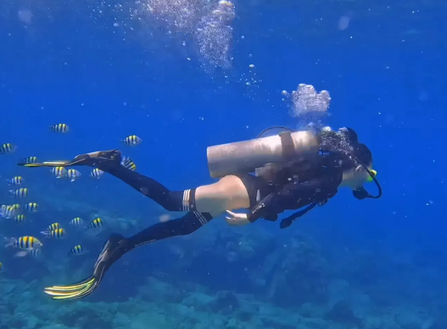 惊险！女子生理期潜水被鲨鱼咬伤，专家：血腥味有刺激