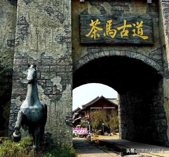 退休后一定要在这6座城市旅居，消费不高生活安逸，来了就不想走