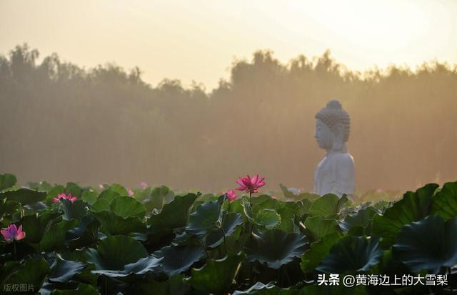 邯郸各辖区名称由来及历史沿革简要