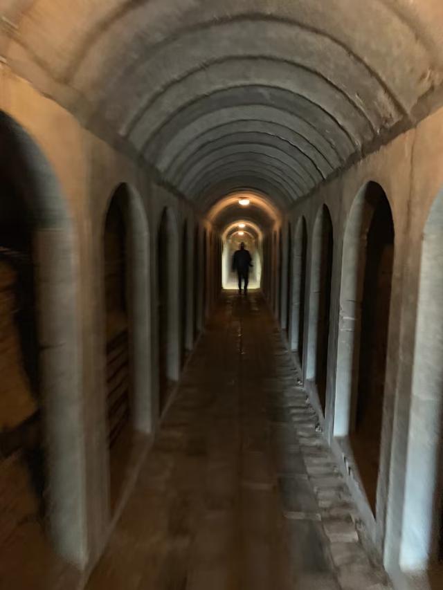 又踏甘肃地之四十九 武威篇之十三 重游雷台汉墓（4）